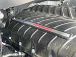 2024 Ford F-150 Regular Cab 4x2 Pickup for sale #HFC19244A - photo 6