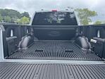 2025 Ford F-150 SuperCrew Cab 4x4 Pickup for sale #HFD77783 - photo 29