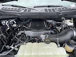 2025 Ford F-150 Regular Cab 4x2 Pickup for sale #HFE36217 - photo 8