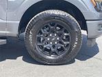 2025 Ford F-150 SuperCrew Cab 4WD Pickup for sale #HFE46152A - photo 37
