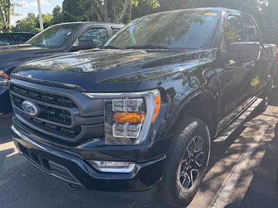 2023 Ford F-150 SuperCrew Cab 4x4 Pickup for sale #HFE86360 - photo 1