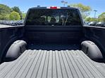 2024 Ford F-150 SuperCrew Cab 4x4 Pickup for sale #HFF42520A - photo 32