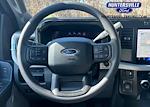 2024 Ford F-250 Crew Cab 4x4 Pickup for sale #HFPC50118 - photo 6