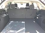 2024 Ford Edge AWD SUV for sale #240033 - photo 6