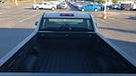 2024 Chevrolet Silverado 1500 Regular Cab 4WD Pickup for sale #240422A - photo 6