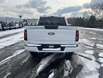 2024 Ford F-150 SuperCrew Cab 4WD Pickup for sale #240624 - photo 4