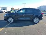 2025 Ford Escape FWD SUV for sale #250065 - photo 8