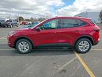 2025 Ford Escape AWD SUV for sale #250077L - photo 8