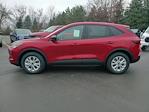 2025 Ford Escape AWD SUV for sale #250095L - photo 10
