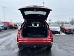 Used 2024 Ford Edge ST-Line for sale #P3458 - photo 4