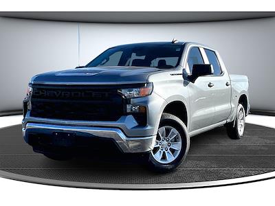 2024 Chevrolet Silverado 1500 Crew Cab RWD Pickup for sale #CP4519 - photo 1