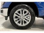 New 2025 Ford F-150 XLT SuperCrew Cab 4WD Pickup for sale #FD7675 - photo 11