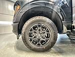 New 2025 Ford F-150 XLT SuperCrew Cab 4WD Pickup for sale #FD7731 - photo 17
