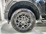 New 2025 Ford F-150 XLT SuperCrew Cab 4WD Pickup for sale #FD7759 - photo 18