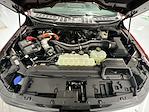 New 2025 Ford F-150 XLT SuperCrew Cab 4WD Pickup for sale #FD7793 - photo 18
