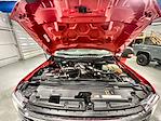 New 2025 Ford F-350 XLT Regular Cab 4WD SRW Pickup for sale #FD7855 - photo 16