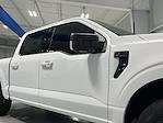2025 Ford F-150 SuperCrew Cab 4WD Pickup for sale #FD7860 - photo 28