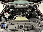 New 2025 Ford F-150 STX SuperCrew Cab 4WD Pickup for sale #FD7878 - photo 17