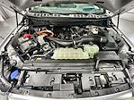 2025 Ford F-150 SuperCrew Cab 4WD Pickup for sale #FD7892 - photo 18