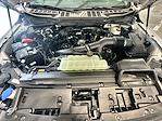 2025 Ford F-150 Super Cab 4WD Pickup for sale #FD7900 - photo 16