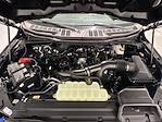 New 2025 Ford F-150 STX SuperCrew Cab 4WD Pickup for sale #FD7978 - photo 17