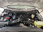 New 2026 Ford F-250 XL Crew Cab 4WD Pickup for sale #FD7982 - photo 17
