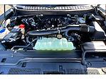 2025 Ford Expedition 4WD SUV for sale #FD8049 - photo 11