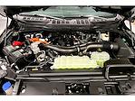 New 2025 Ford F-150 XLT SuperCrew Cab 4WD Pickup for sale #FD8104 - photo 11