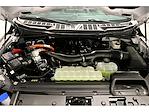 New 2025 Ford F-150 XLT SuperCrew Cab 4WD Pickup for sale #FD8105 - photo 11