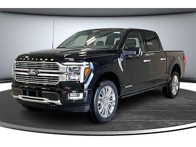 New 2025 Ford F-150 - photo 1