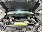 2025 Ford F-150 SuperCrew Cab 4WD Pickup for sale #FP4606 - photo 17