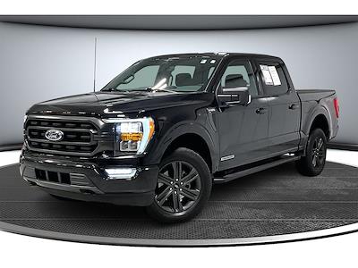 Used 2023 Ford F-150 XLT SuperCrew Cab for sale #FP4655 - photo 1