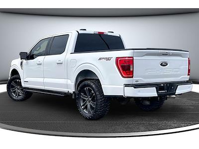 Used 2023 Ford F-150 - photo 1