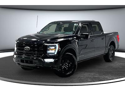 Used 2023 Ford F-150 - photo 1