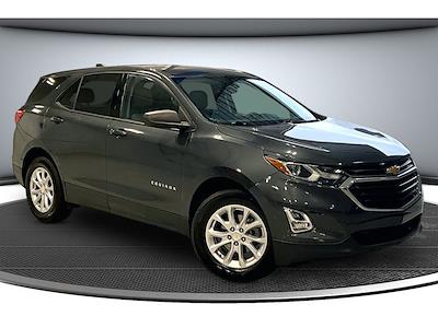 Used 2019 Chevrolet Equinox - photo 1