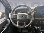 2023 Ford F-150 SuperCrew Cab RWD Pickup for sale #96511 - photo 13