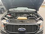 2023 Ford F-150 SuperCrew Cab RWD Pickup for sale #96511 - photo 20
