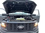 2024 Ford F-150 SuperCrew Cab 4WD Pickup for sale #T1699B - photo 20