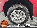 2024 Chevrolet Silverado 1500 Crew Cab 4WD Pickup for sale #52627A - photo 15
