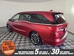 2023 Honda Odyssey FWD Minivan for sale #52635A - photo 8