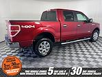 2013 Ford F-150 SuperCrew Cab 4WD Pickup for sale #52919XA - photo 2