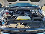 2024 Ford F-150 SuperCrew Cab RWD Pickup for sale #226927D - photo 34