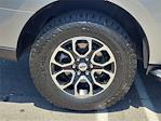 2023 Ford Expedition RWD SUV for sale #227119X - photo 32