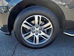 2023 Ford Expedition RWD SUV for sale #227392X - photo 31