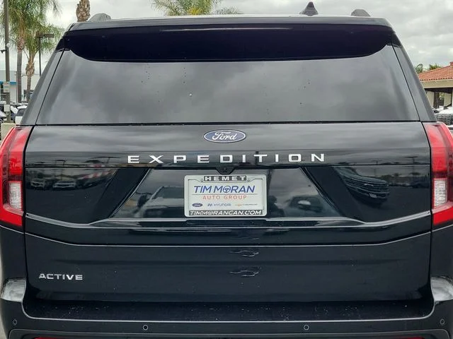 Used 2025 Ford Expedition - photo 29