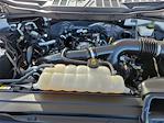 2021 Ford F-150 SuperCrew Cab RWD Pickup for sale #503482 - photo 29