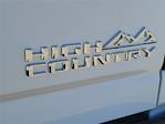 2025 Chevrolet Silverado 3500 Crew Cab 4x4 Pickup for sale #C25079 - photo 24