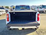 2025 Chevrolet Silverado 3500 Crew Cab 4x4 Pickup for sale #C25082 - photo 21