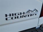 2025 Chevrolet Silverado 3500 Crew Cab 4x4 Pickup for sale #C25085 - photo 24