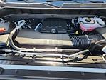 2025 Chevrolet Silverado 1500 Double Cab RWD Pickup for sale #C25195U - photo 29